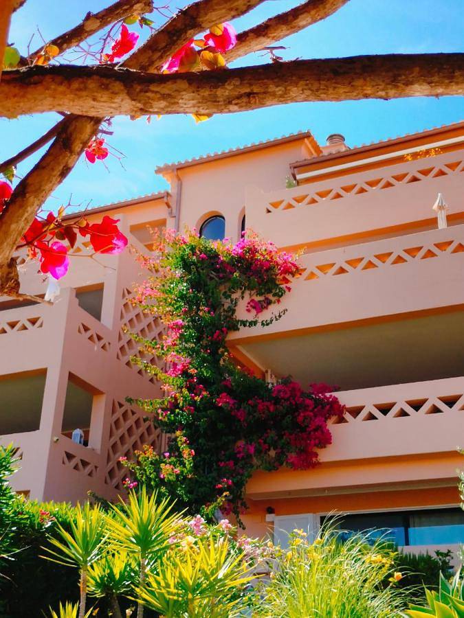Bungalow para 4 pessoas, com Terraço e Jardim e ainda Piscina and Vista em Lagos