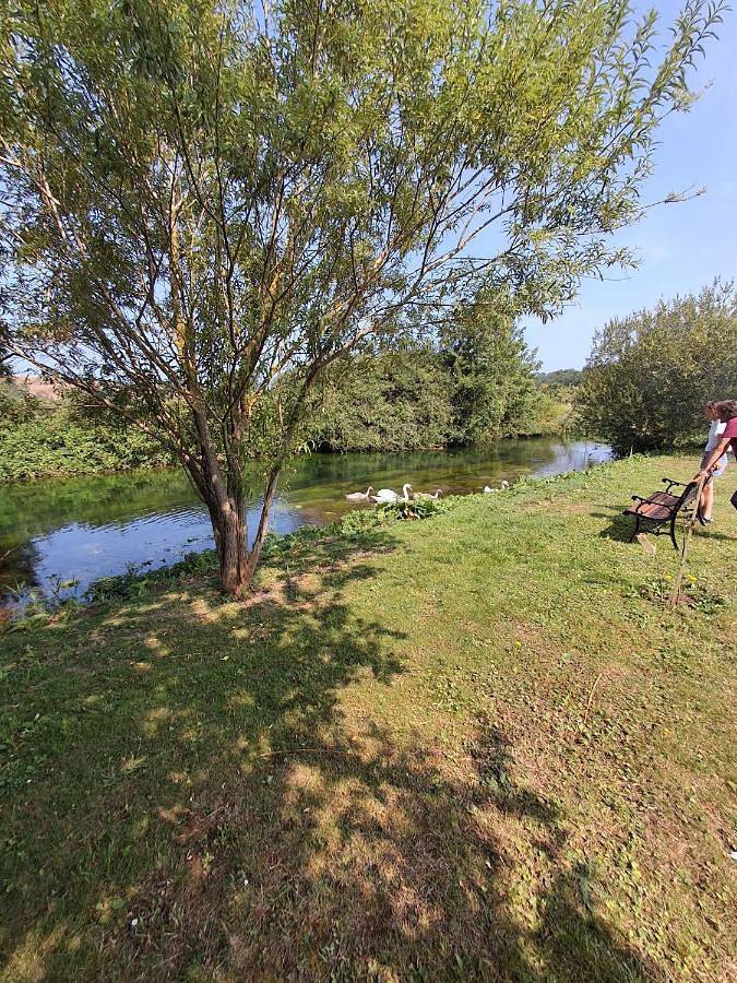 Le Lilas au bord de rivière in Paluel, Dieppe und Umgebung