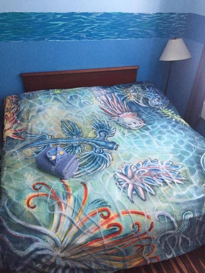 Chambre d’hôte pour 4 personnes, avec vue et terrasse - 1