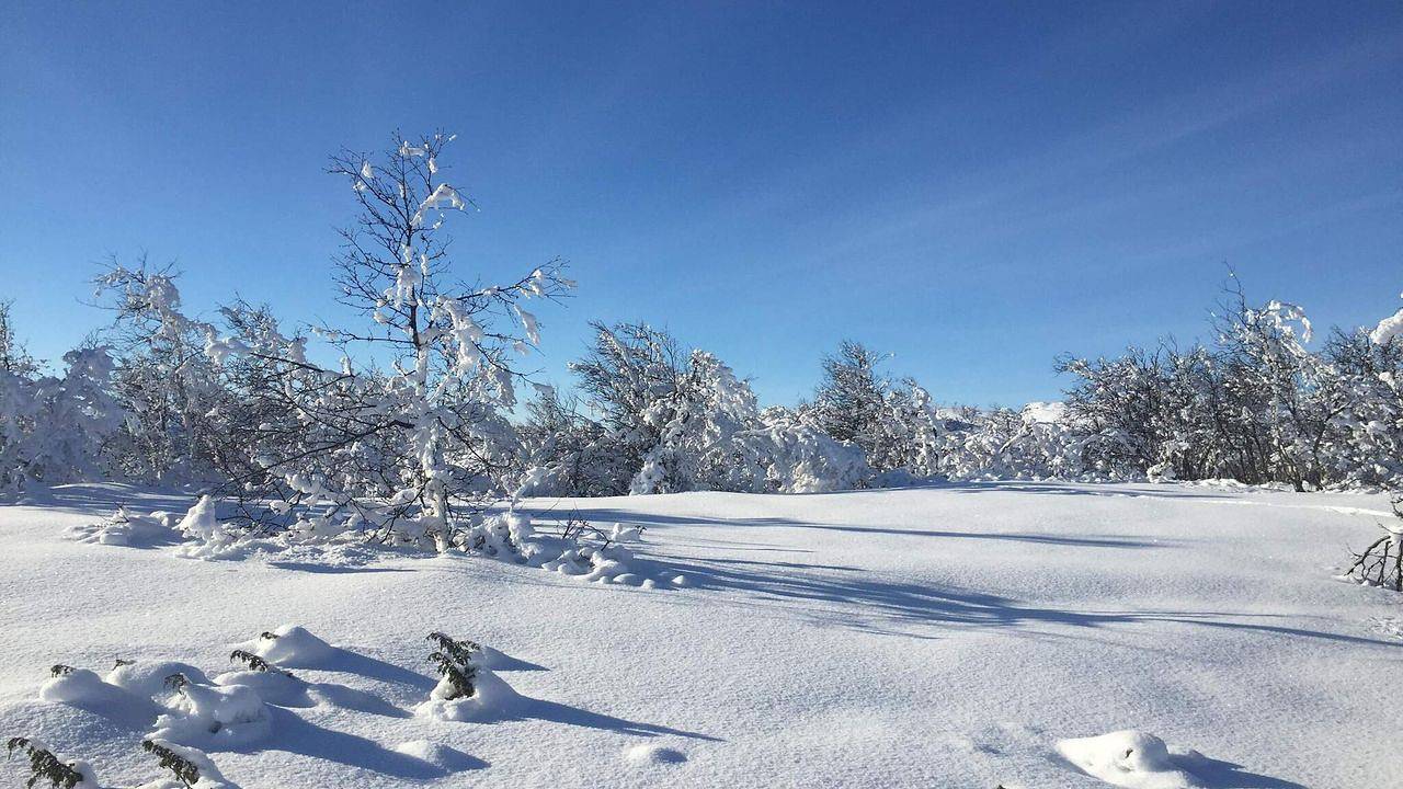 Hel ferielejlighed, Ferienwohnung für 4 Personen (36 m²) in Geilo in Geilo, Hol