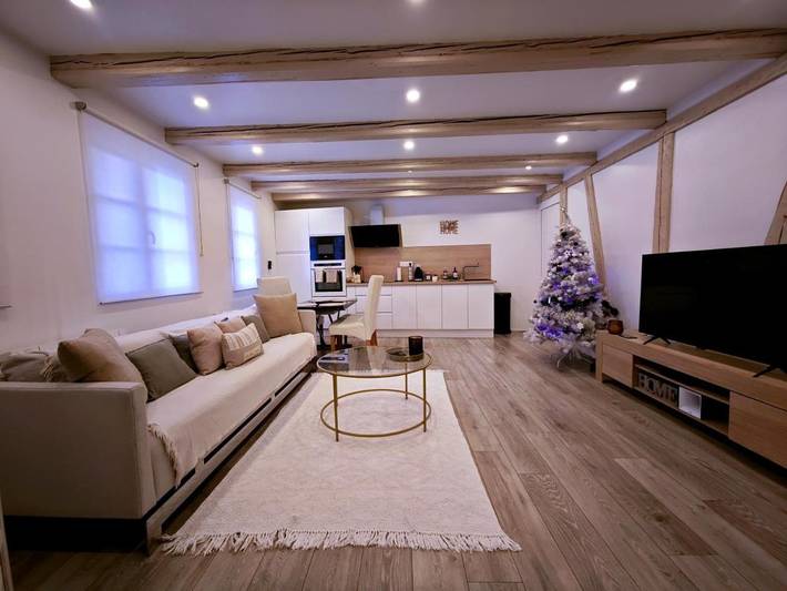 Gîte pour 4 personnes, avec jacuzzi à Erstein - 4