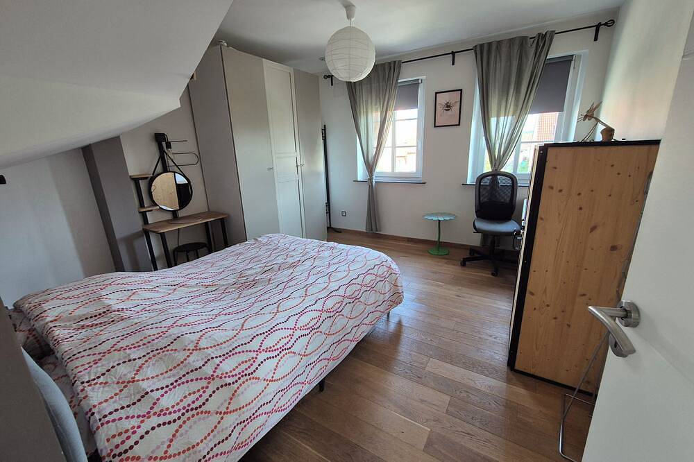 Large country house sleeps 14 - Garden - Nordic bath in Saargemünd