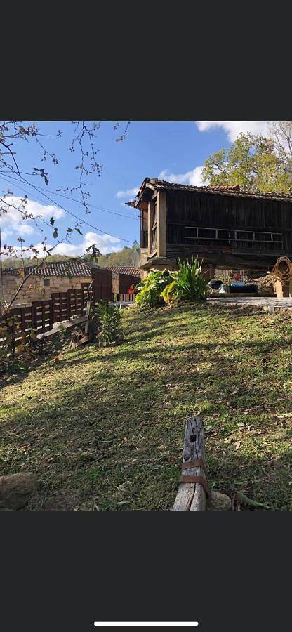 Location de vacances pour 5 personnes, avec jardin ainsi que piscine et vue, animaux acceptés à Ribeira de Pena - 4