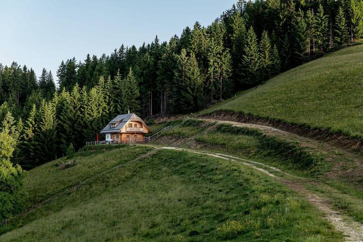Ferienhaus für 6 Personen, mit Terrasse und Garten, mit Haustier in Kärnten - 4