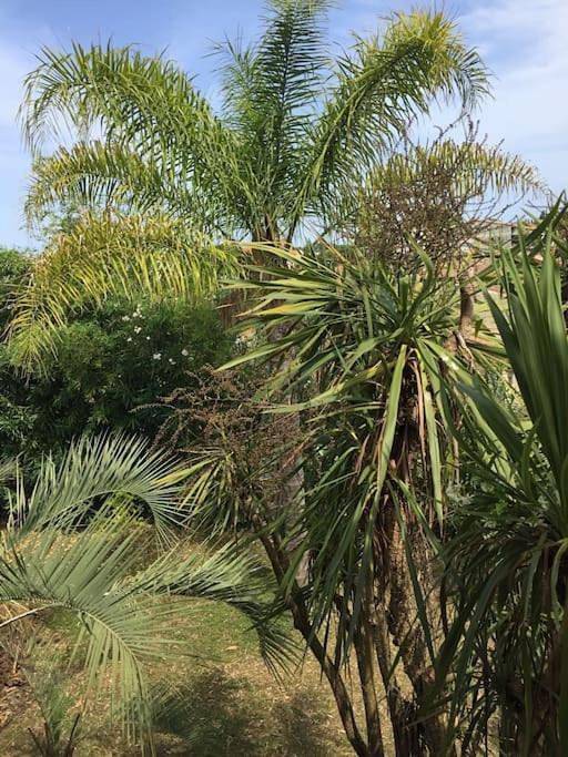 Appartement de vacances pour 5 personnes, avec vue et jardin