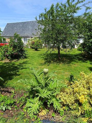 Gîte pour 6 personnes, avec terrasse et jardin, animaux acceptés à Sassetot-le-Mauconduit