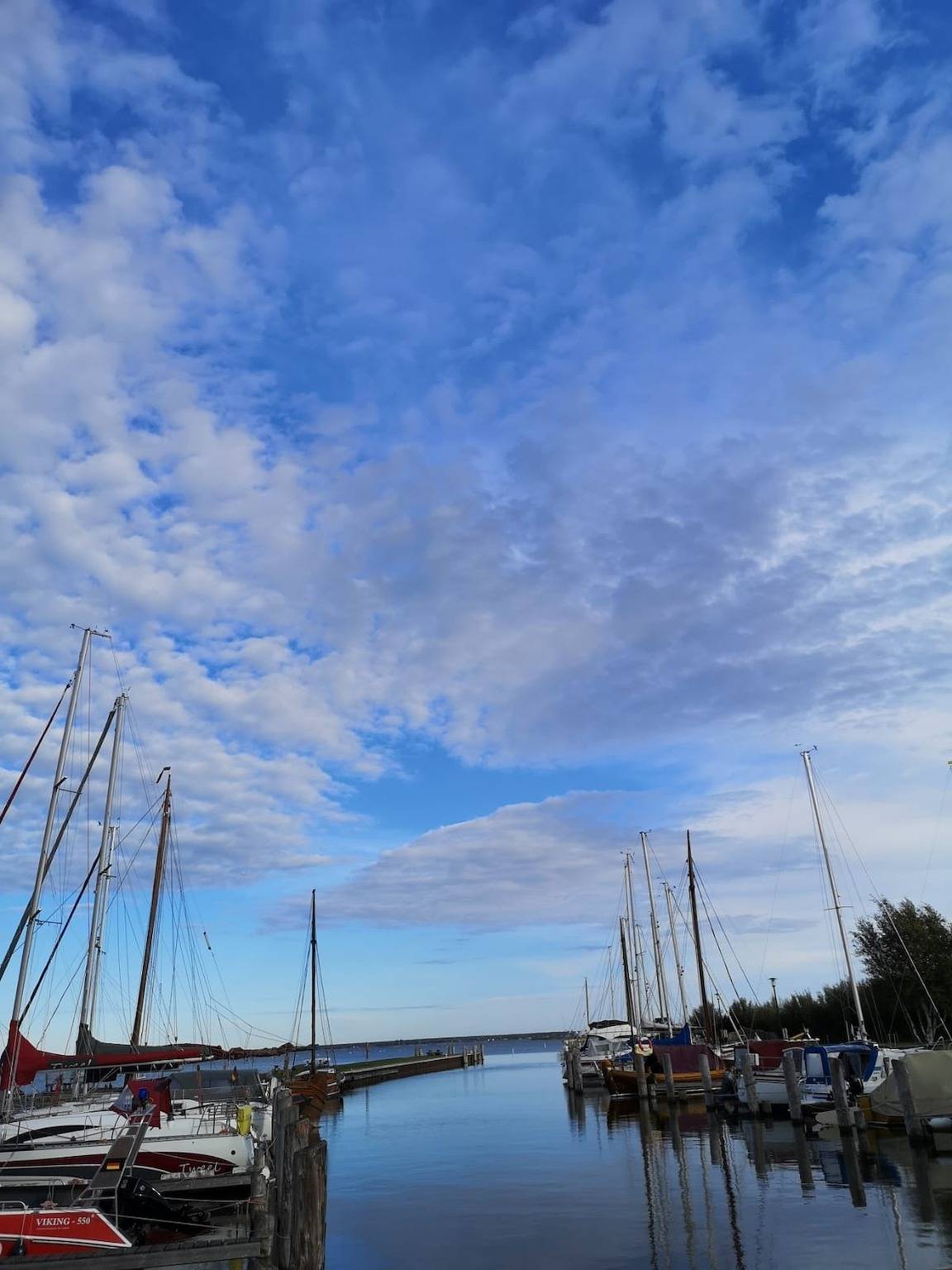 Ferienhaus am Saaler Bodden in Neuendorf (Bei Saal), Saal