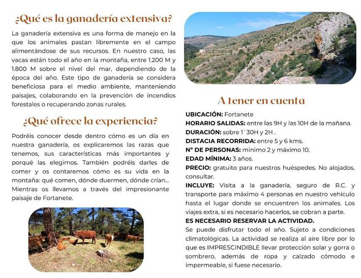 Apartamento de vacaciones para 3 personas, con vistas y terraza, Se admiten mascotas en Provincia de Teruel - 2