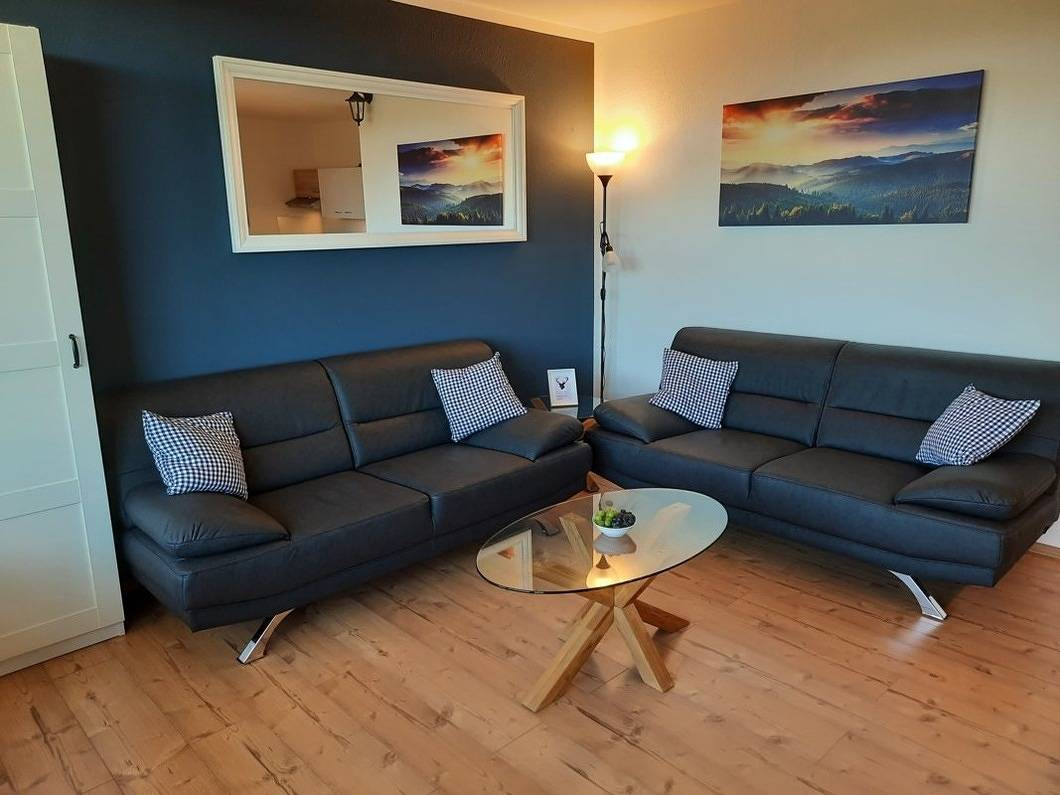 Apartamento vacacional entero, Apartamento de vacaciones para 4 personas con balcón in Hohegeiß, Harzvorland