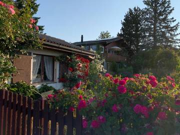 Chambre d’hôte pour 2 personnes, avec terrasse ainsi que vue et jardin dans Canton de Vaud