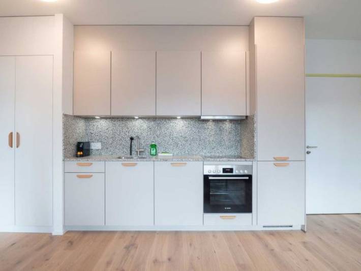 Gîte pour 4 personnes, avec balcon à Zurich - 3