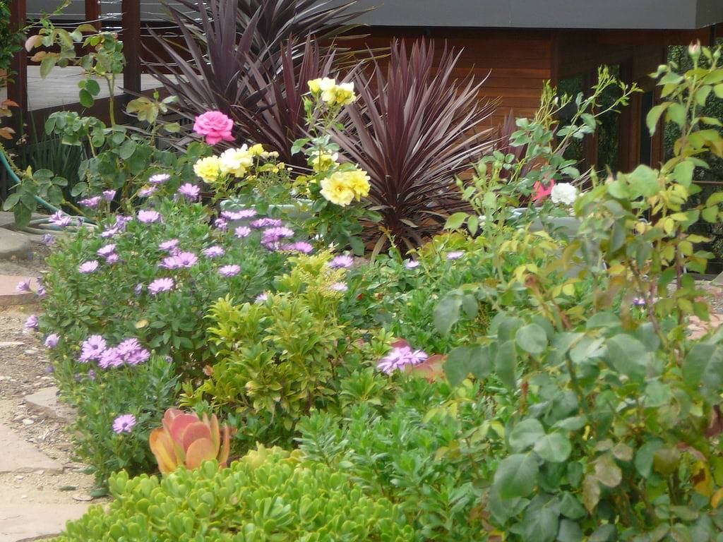 Kunstgefüllter Orinda Zen Retreat. Atemberaubende Aussichten! Minuten zu Bart, San Francisc in Orinda, Contra Costa County