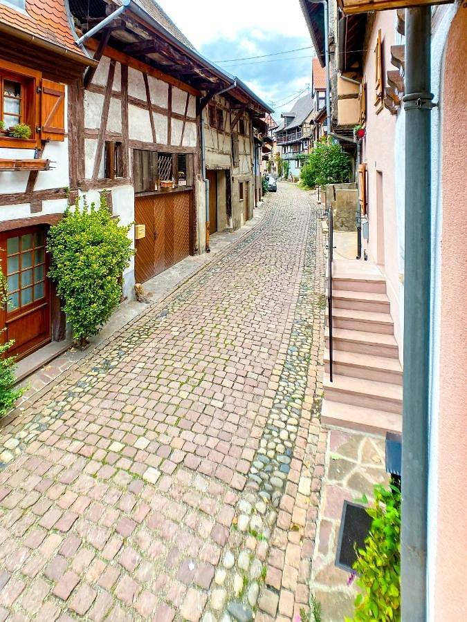 Appartement entier, Guesthouse Les 3 Chateaux in Eguisheim, Parc naturel régional des Ballons des Vosges