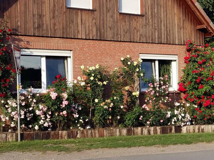 Ferienwohnung für 4 Personen, mit Garten und Balkon - 1
