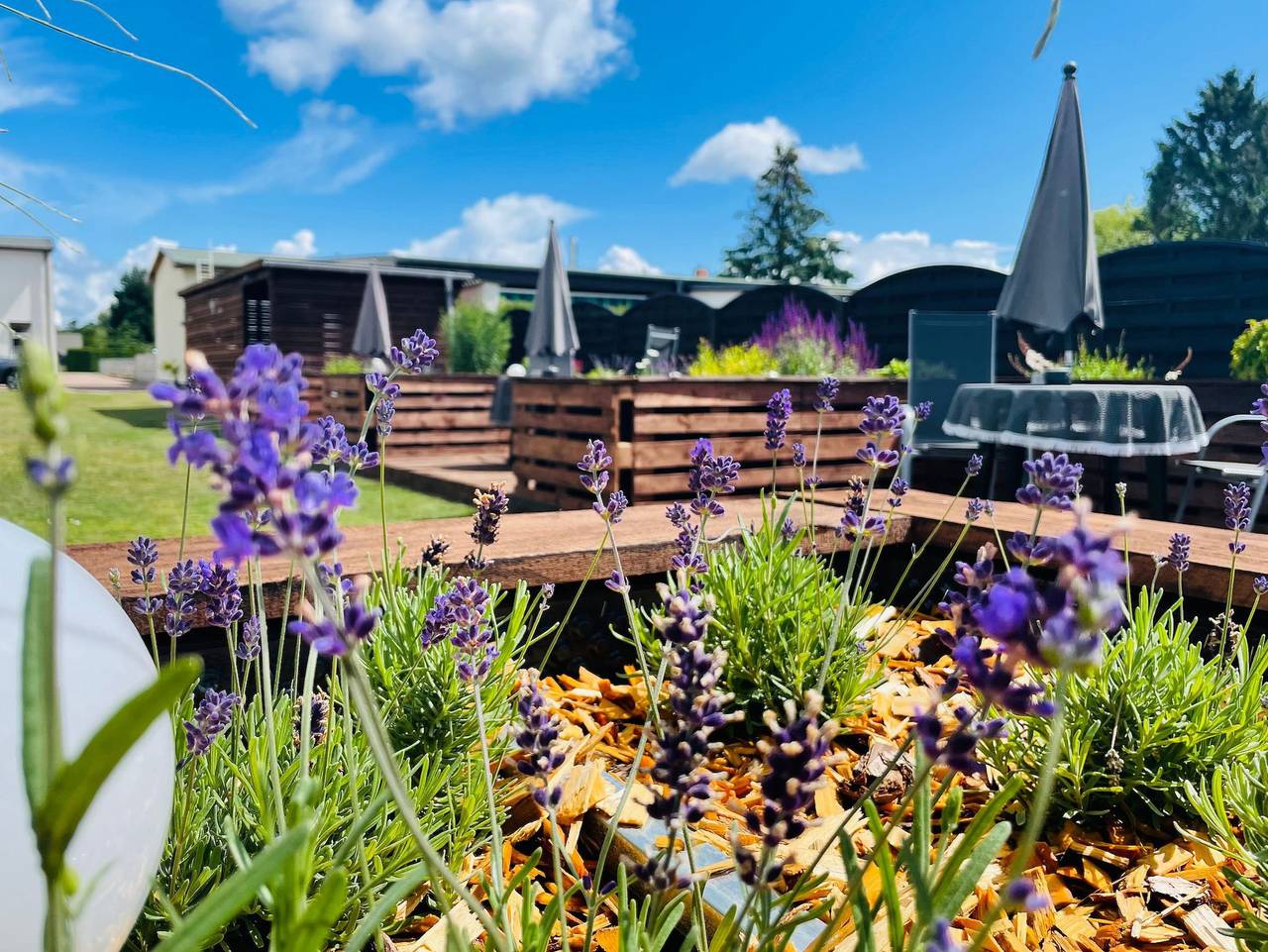 Ganze Ferienwohnung, Ferienwohnungen Rose - Adults Only - - Fewo 2 Rose in Drei Kaiserbäder, Heringsdorf