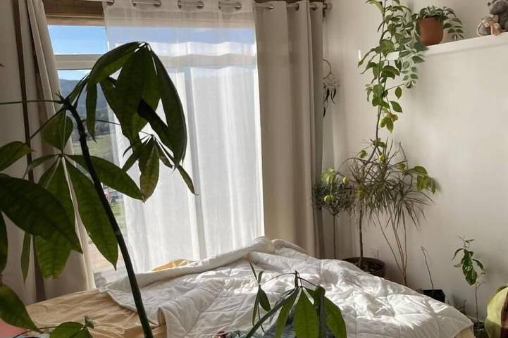 Location de vacances pour 6 personnes, avec jardin à Albières - 2