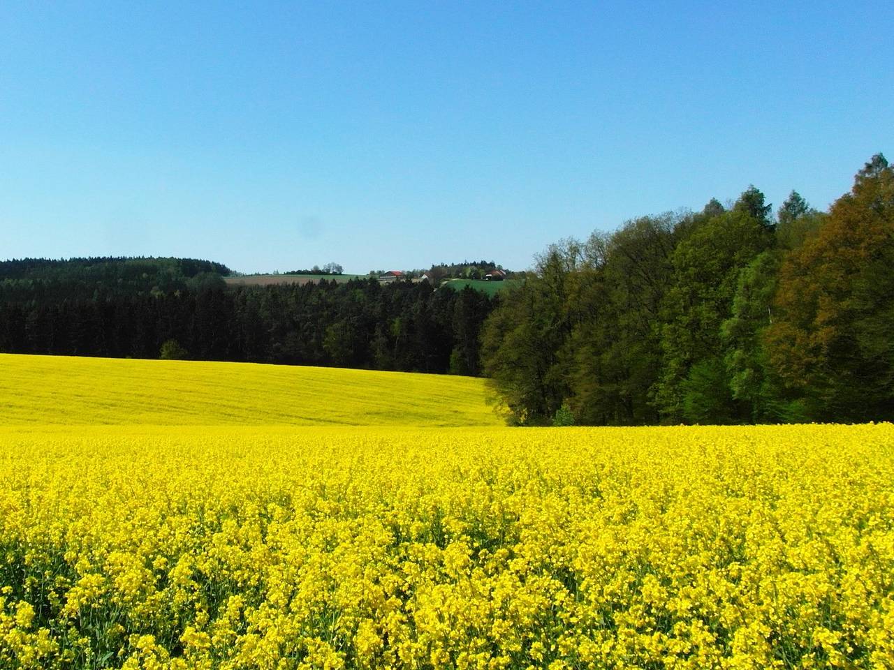 Ganze Wohnung, Schönberger-Hof in Wernberg-Köblitz, Naturpark Oberpfälzer Wald