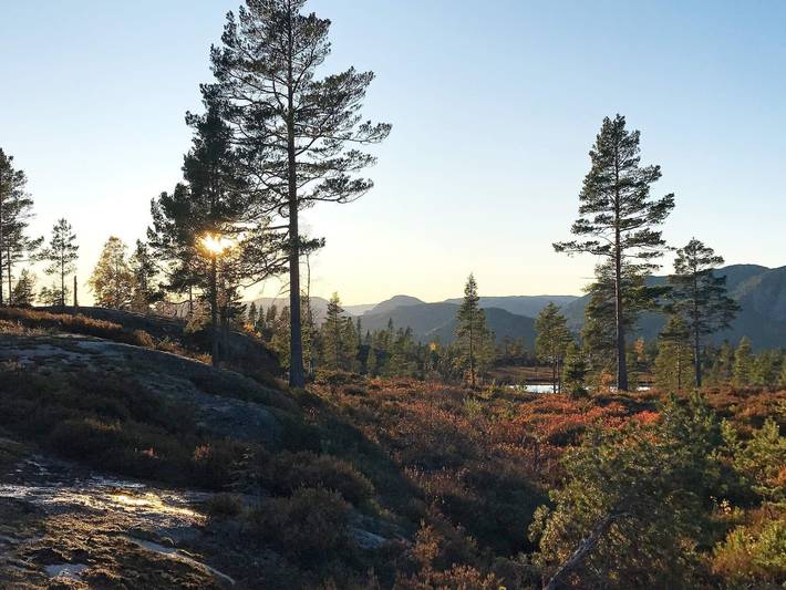 Ferienhaus für 15 Personen, mit Terrasse und Sauna, kinderfreundlich in Telemark - 4