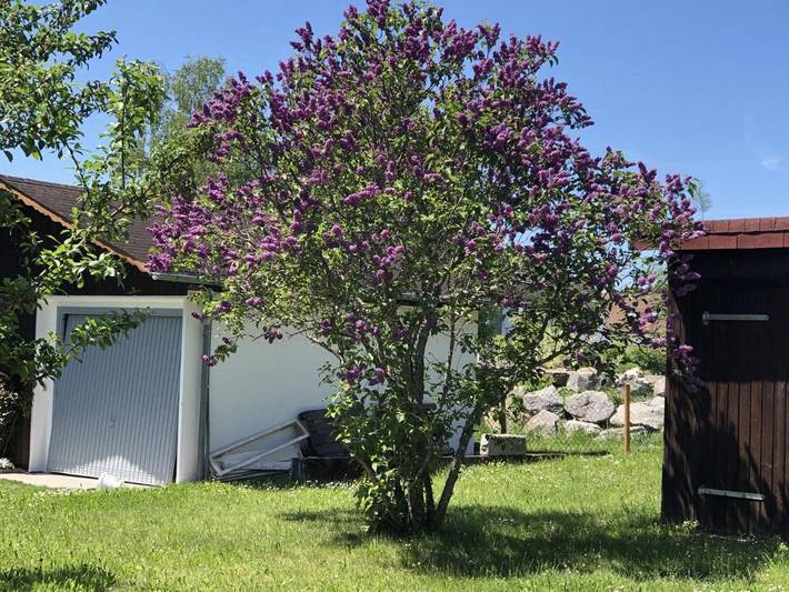 Ferienwohnung für 2 Personen, mit Terrasse und Garten sowie Sauna und Ausblick in Ühlingen-Birkendorf - 4