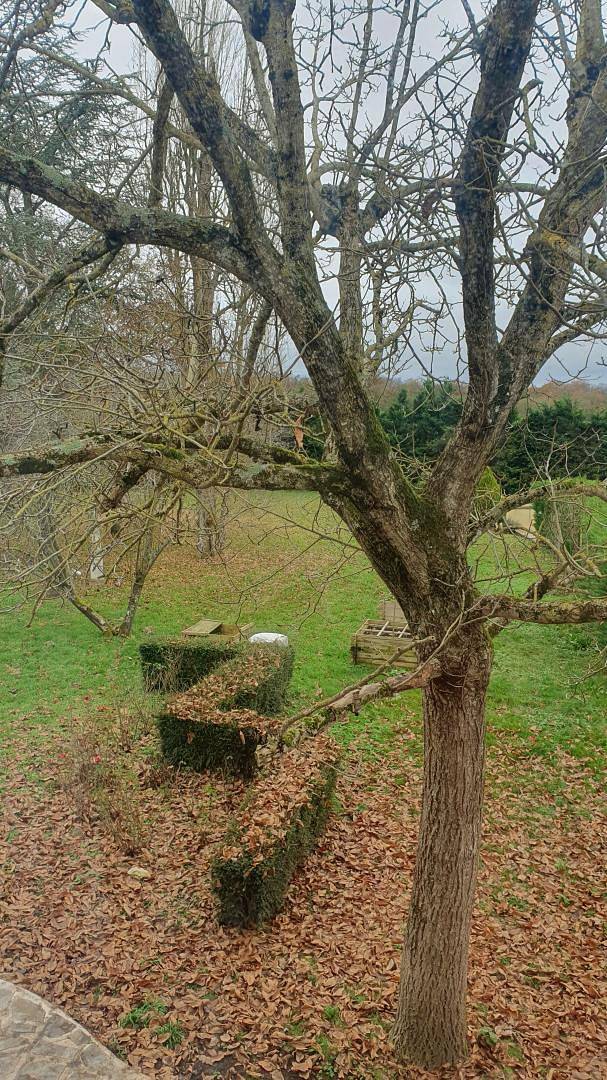 La Brossoise in Seine-et-Marne