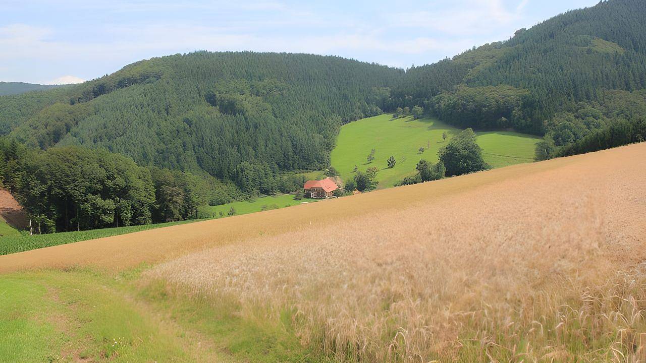 Ganze Ferienwohnung, Ferienwohnung für 6 Personen (90 m²) in Mühlenbach in Mühlenbach, Mittlerer Schwarzwald