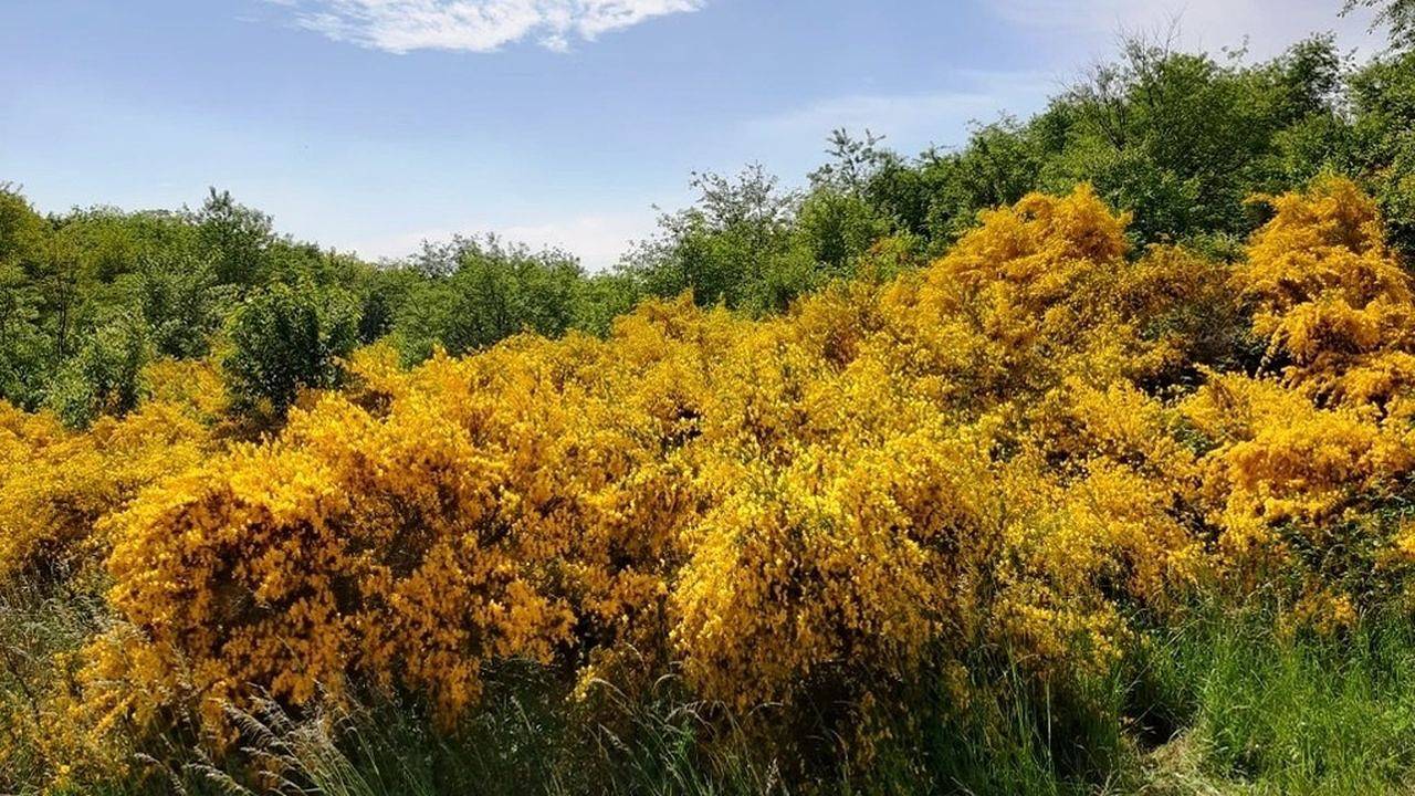 Ganze Ferienwohnung, Ferienwohnung für 4 Personen (50 m²) in Alt Reddevitz in Alt Reddevitz, Mönchgut
