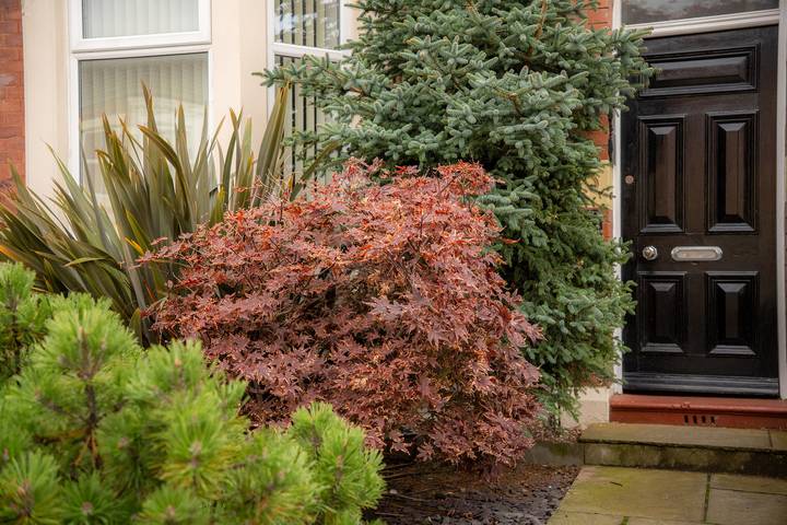 Apartamento entero, Apartamento de vacaciones para 4 personas con jardín in Whitley Bay, North Tyneside