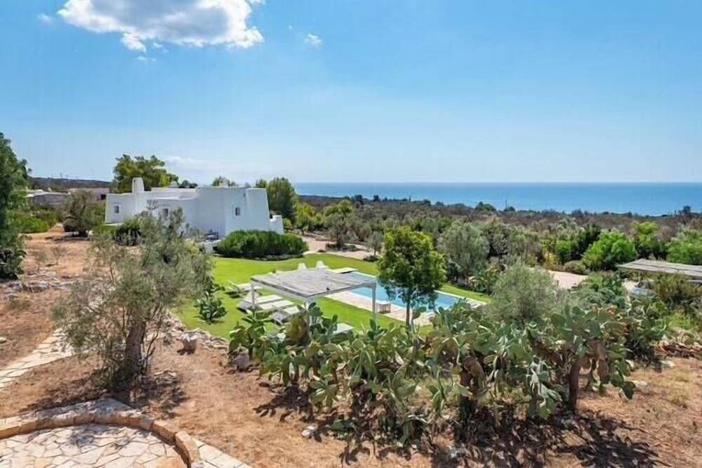 Moderne Villa inmitten jahrhundertealter Olivenbäume in Leuca in Torre Vado, Golf von Tarent