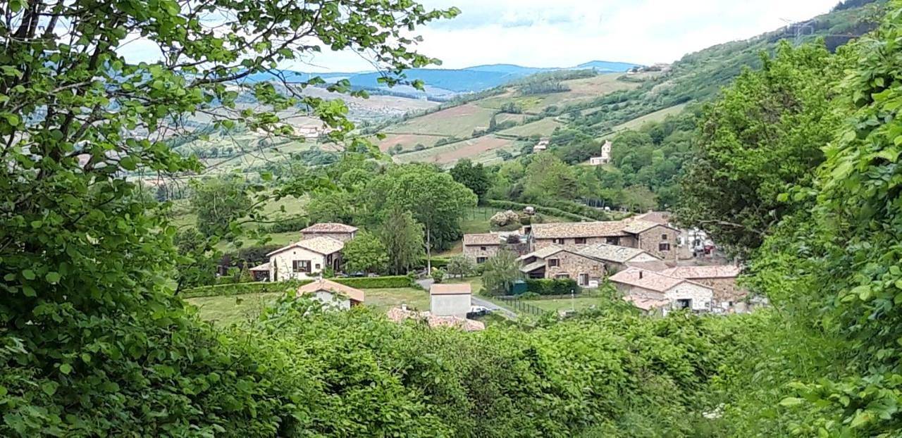Ce Petit Chemin in Cenves, Région de Villefranche-sur-Saône