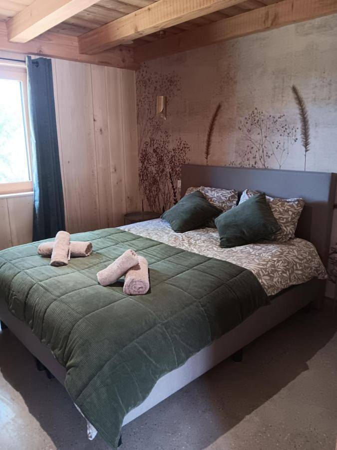 Location de vacances pour 10 personnes, avec terrasse et jardin à Clairvaux-les-Lacs - 2