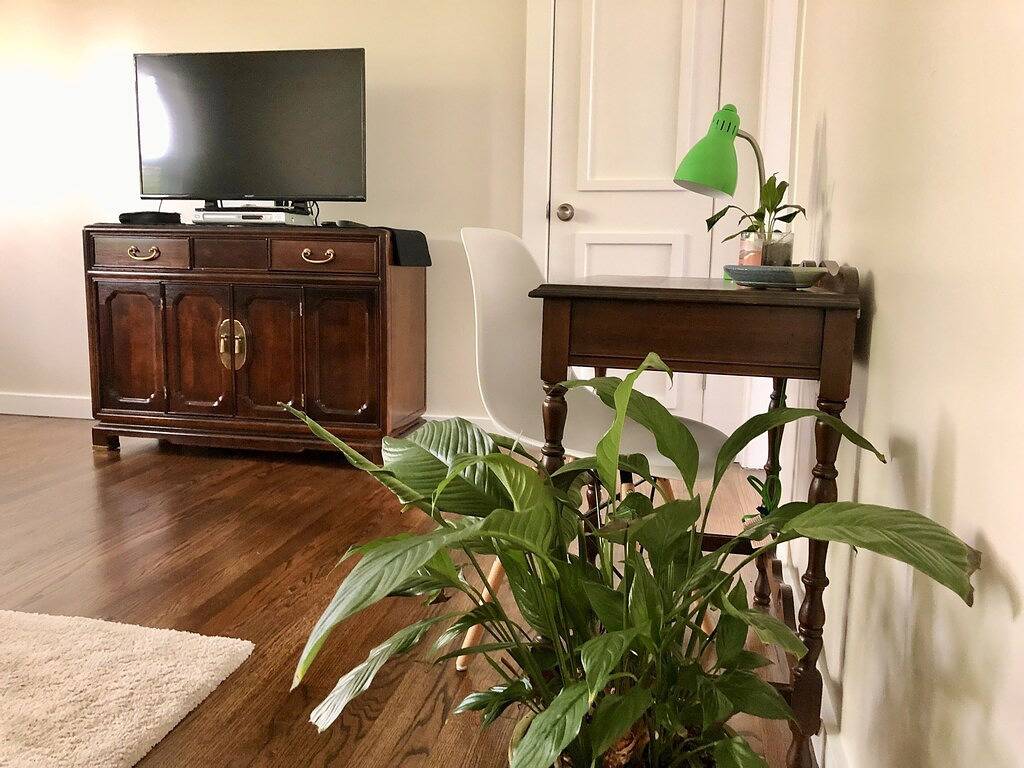 2/1 Cottage near Airport, Convcntr, Musicfctry, Fourseasons, Omni, Westin, Ud in Irving, Dallas County