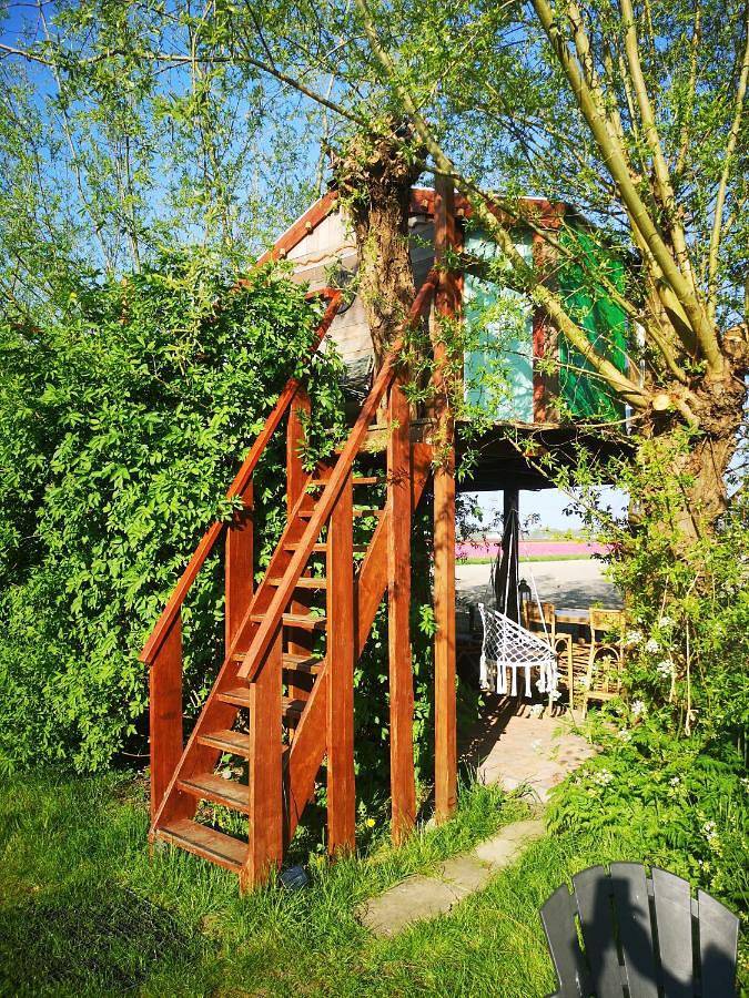 Lodge voor 2 personen, with terras and uitzicht as well as tuin in Noord-Holland