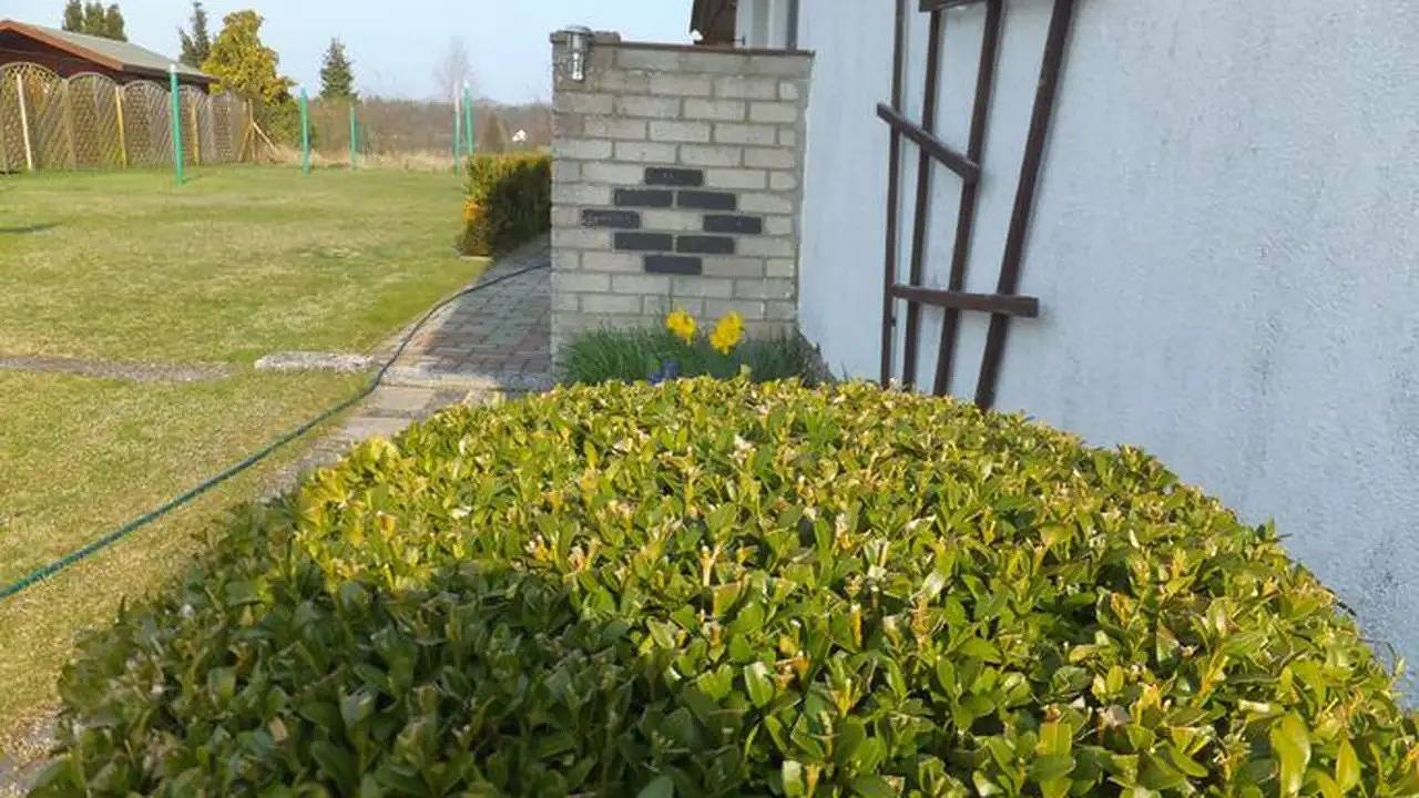 Ganze Ferienwohnung, Ferienwohnung für 4 Personen (39 m²) in Karlshagen in Karlshagen, Usedomer Norden
