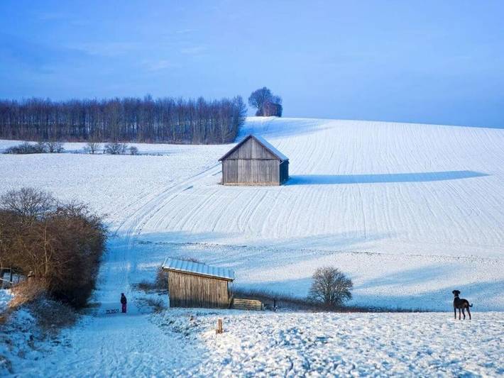 Location de vacances pour 4 personnes, avec jardin, animaux acceptés à Brakel - 4