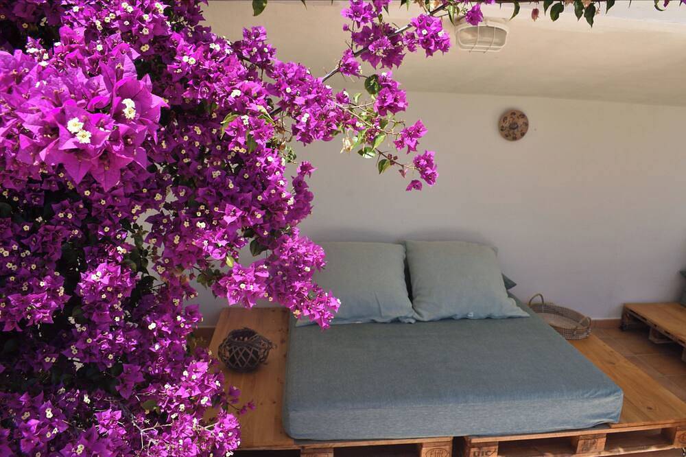 La casa de la Oma - Finca with private pool in Sant Joan d'Alacant, Costa Blanca