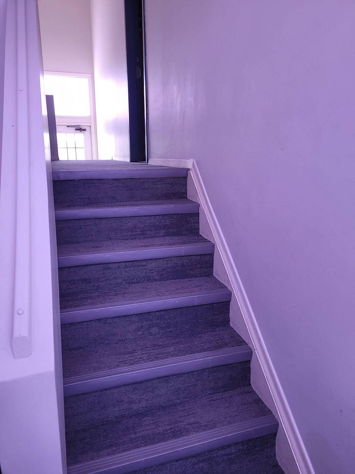 Ganze Wohnung, Modernes 2Br in der Nähe der Innenstadt und des Messezentrums in Edmonton, Alberta