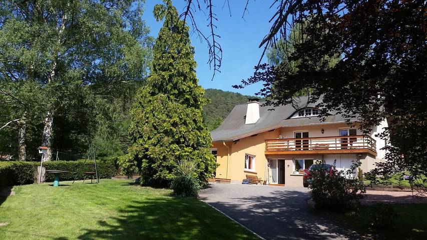 Location de vacances pour 14 personnes, avec jardin et vue, animaux acceptés à Dambach (homonymie) - 3