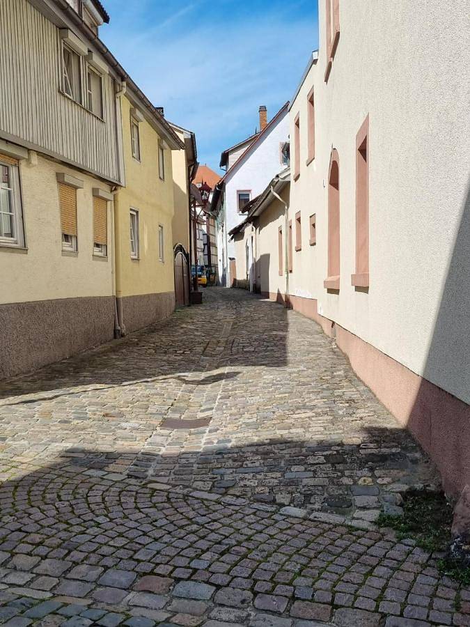 Gîte pour 6 personnes, avec terrasse et vue à Heppenheim - 2