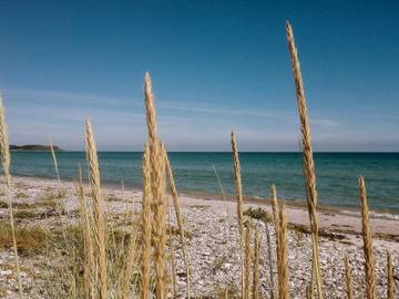 Feriehus til 4 Personer i Ebeltoft, Djursland, Bilde 3