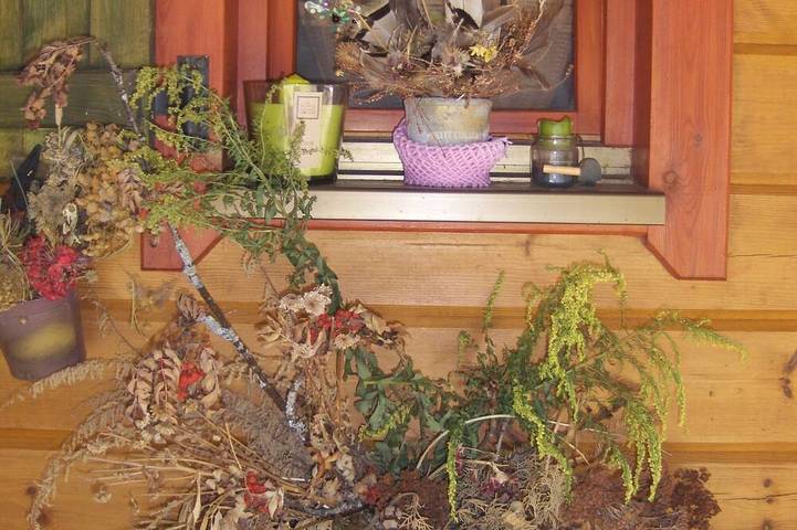Gîte pour 3 personnes, avec jardin, animaux acceptés à Les Planches-en-Montagne