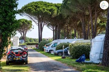 Camping voor 4 Personen in Roquebrune-sur-Argens, Draguignan en omgeving, Afbeelding 1