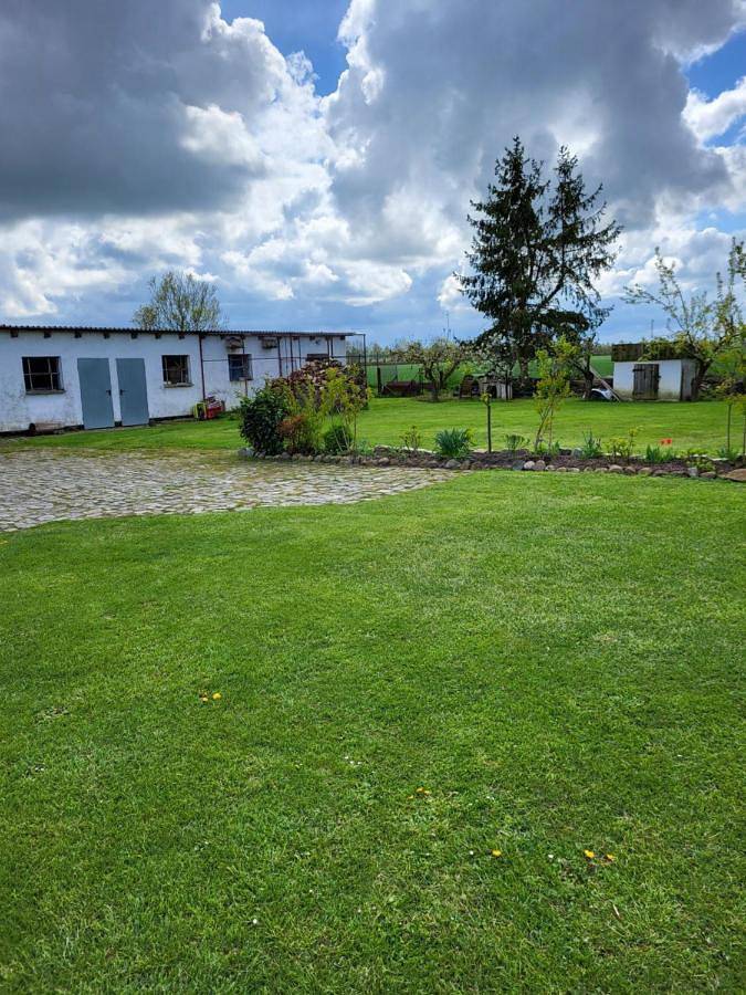 Ferienwohnung für 4 Personen, mit Terrasse und Garten sowie Ausblick in Ahrenshagen-Daskow - 3