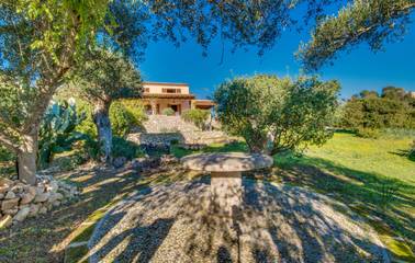 Ferienhaus in Manacor, Mallorca Osten für 8 