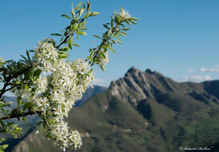 Location de vacances pour 2 personnes, avec terrasse et vue dans Basilicate - 4