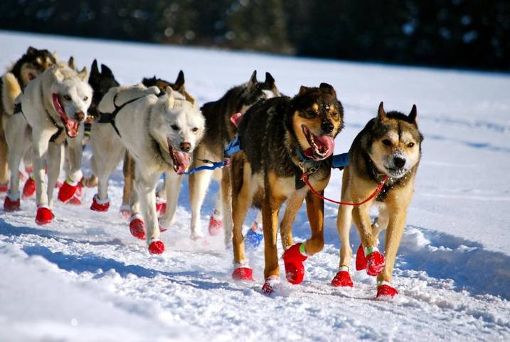 Hôtel pour 3 personnes à Anchorage - 3