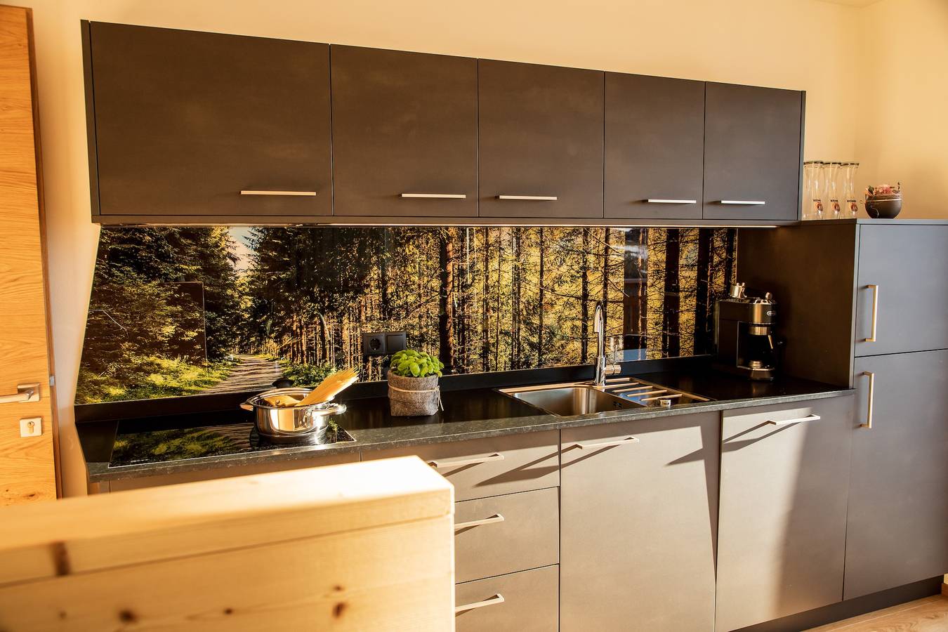 Ganze Wohnung, Ferienwohnung "Kieserhof Wald" mit Bergblick, Privat-Terrasse und Wlan in Terenten, Dolomiti Superski