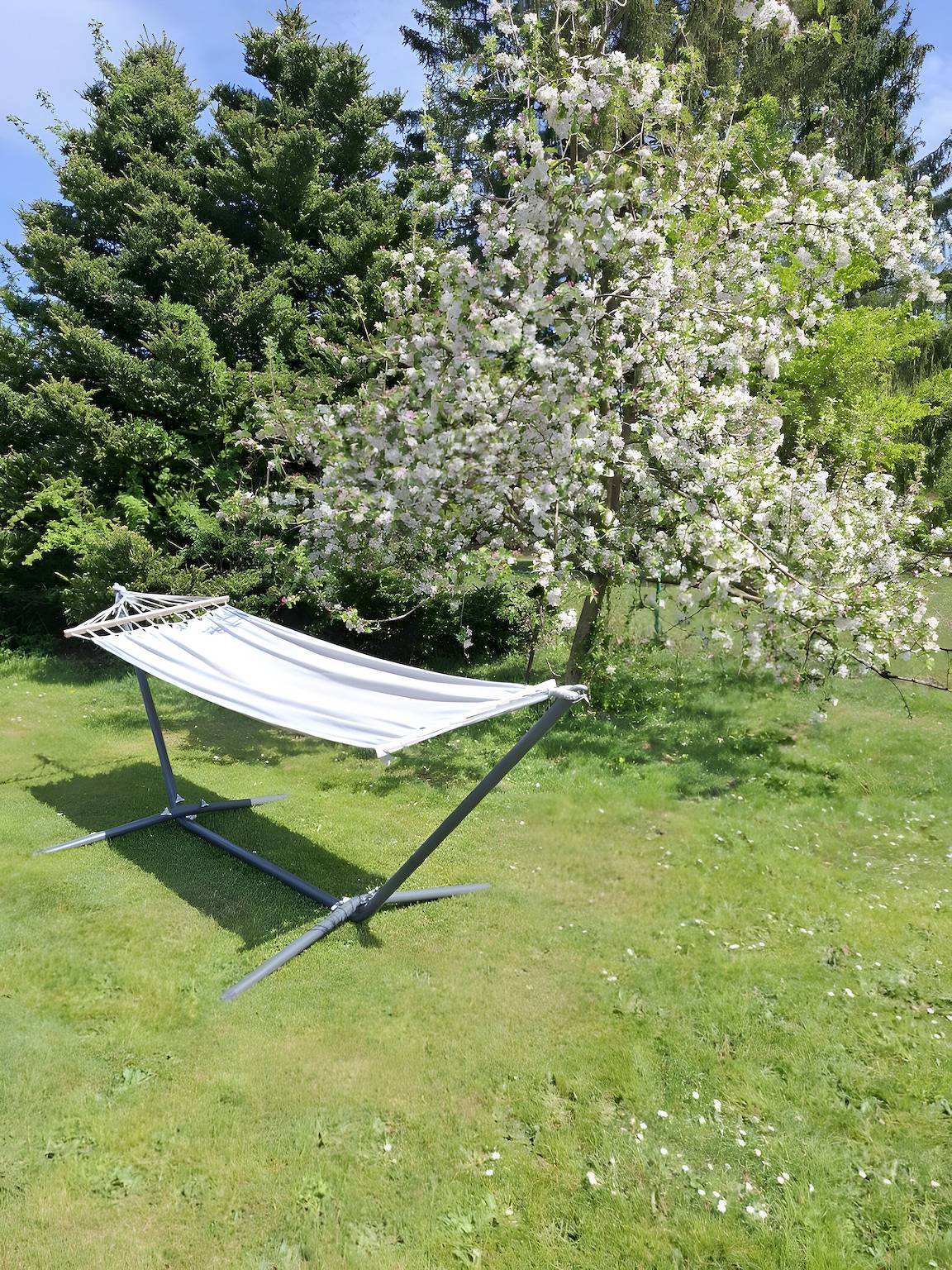 Room 'Hochwald' with Shared Terrace, Shared Garden and Wi-Fi in Bad Sachsa, Harzvorland