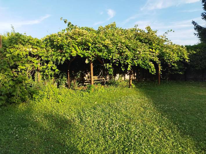 Gîte pour 10 personnes, avec piscine et sauna à Huningue - 3