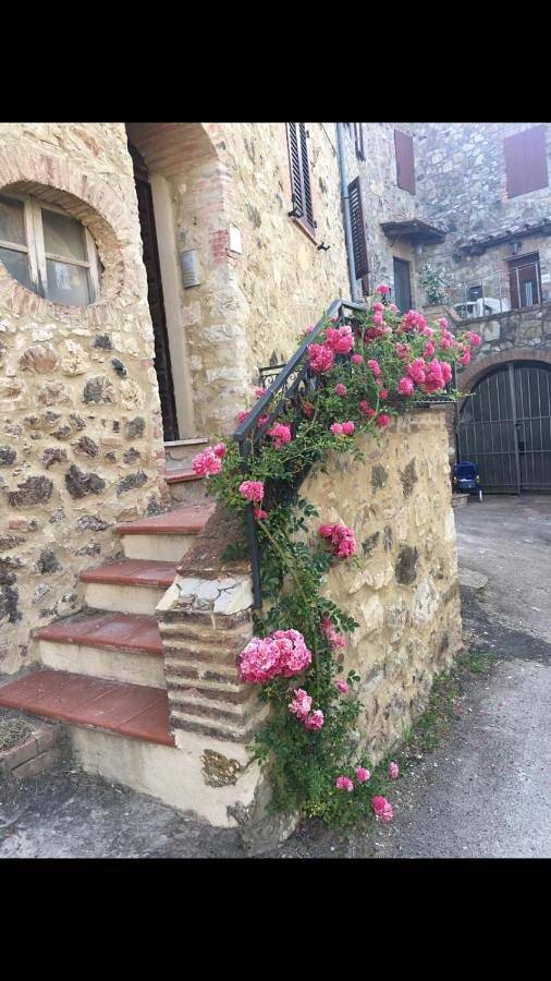 Ferienwohnung für 4 Personen, mit Ausblick in Civitella Paganico