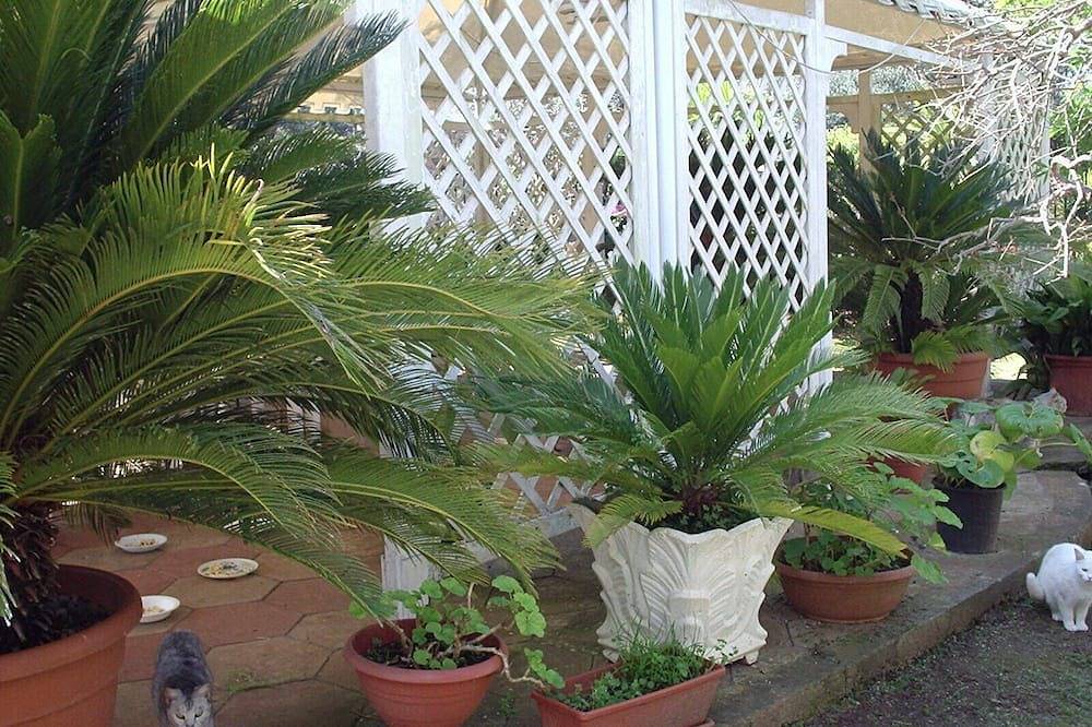 Edificio anexo completamente nuevo rodeado de vegetación cerca del mar ¡Último Minuto Sept! in Nardò, Nardò (municipio)